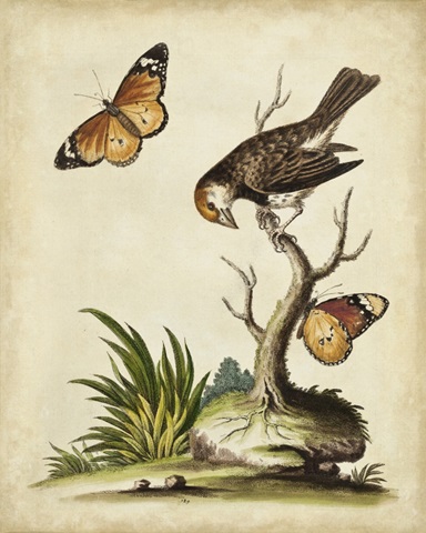 Companions in Nature II