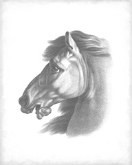 Equestrian Blueprint III