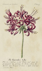 Gardener's Guide VII