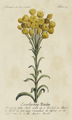 Gardener's Guide VIII