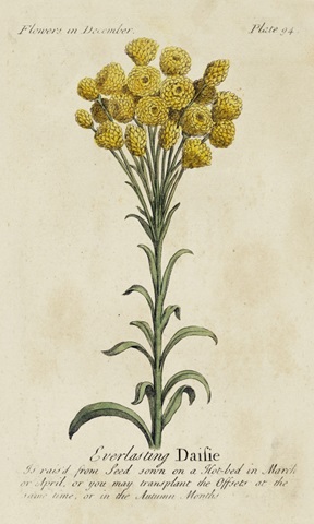 Gardener's Guide VIII