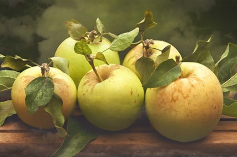 Jill's Green Apples I