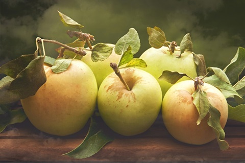 Jill's Green Apples II