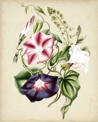 Nature's Romance III