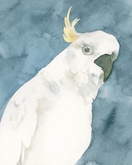 Cockatoo Portrait I