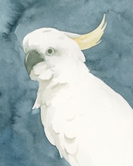 Cockatoo Portrait II