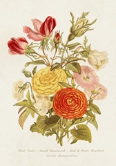 Antique Floral Bouquet I
