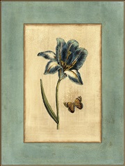 Crackled Spa Blue Tulip I