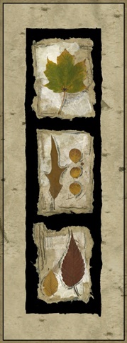 Kyoto Panel II