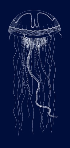 Languishing Drifters II