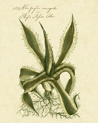 Thornton Exotics III