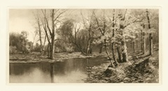 Tranquil Riverscape I