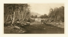 Tranquil Riverscape III