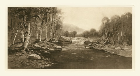 Tranquil Riverscape III