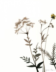 Watermark Wildflowers IX