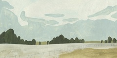 Farmland Study II