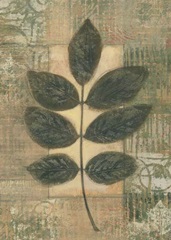 Leaf Textures II