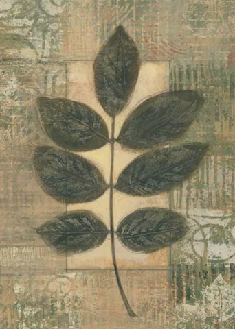 Leaf Textures II