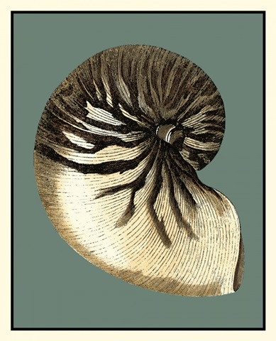 Ocean's Treasure III