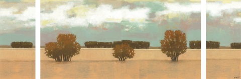 Panoramic Scent of Rain