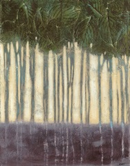 Sunlit Rainforest II