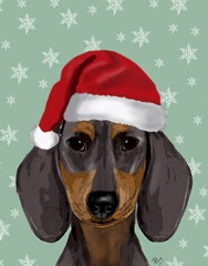 Santa Hat Dogs Dachshund