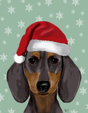 Santa Hat Dogs Dachshund