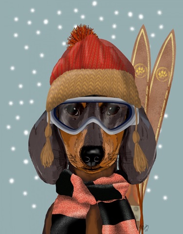 Ski Dogs Dachshund