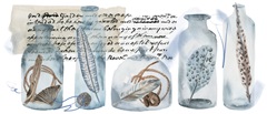Message in a Bottle Collection D