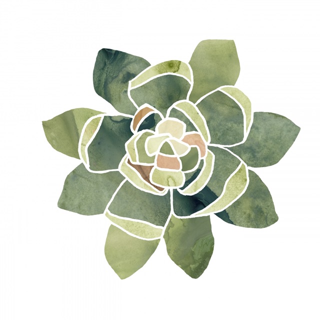 Succulent Cameo XIV