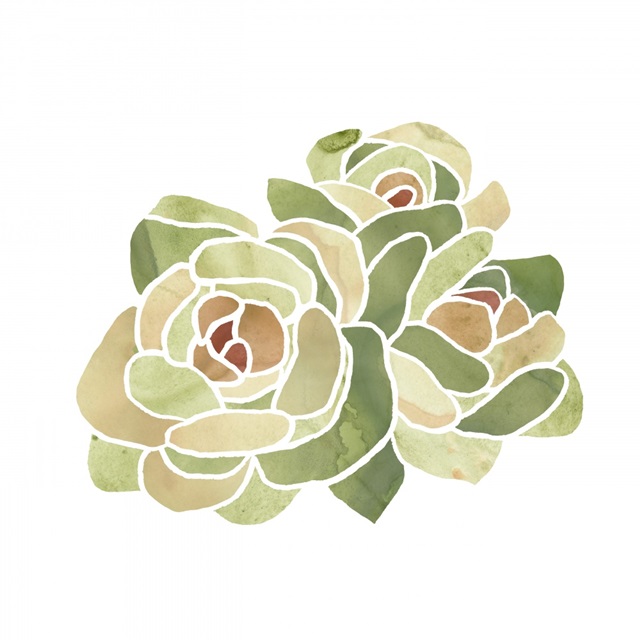 Succulent Cameo XV