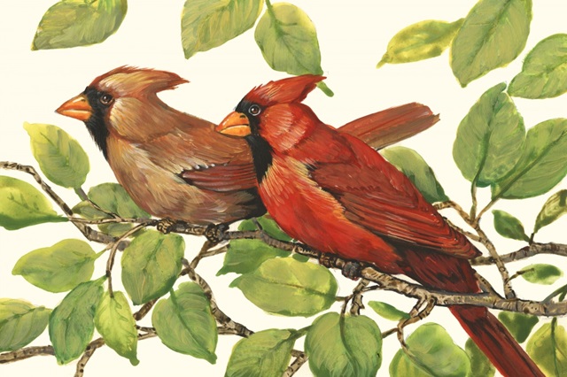 Cardinals