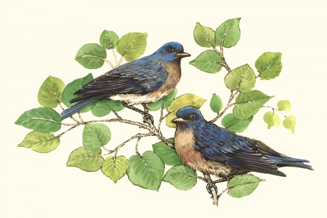 Song Birds I