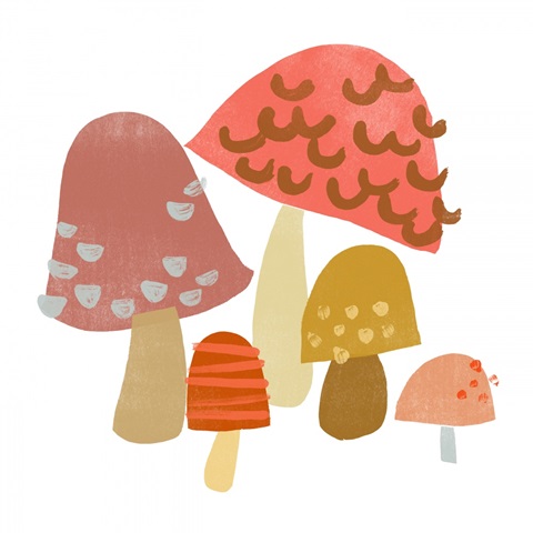 Cupcake Mushrooms I