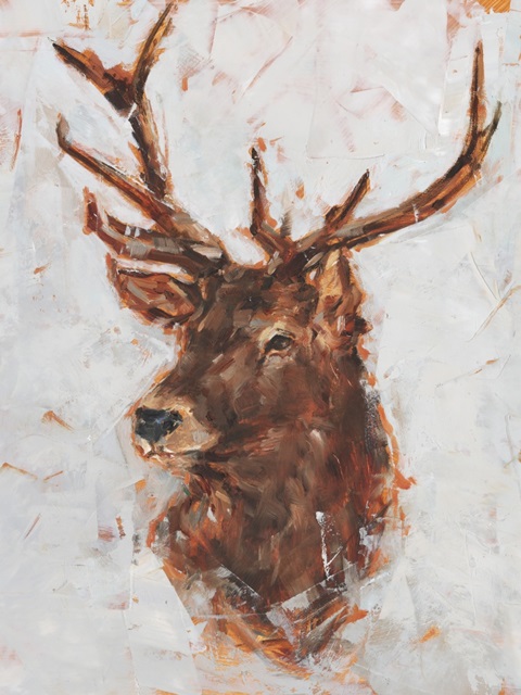 Stag Study I