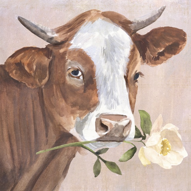 Peony Cow II