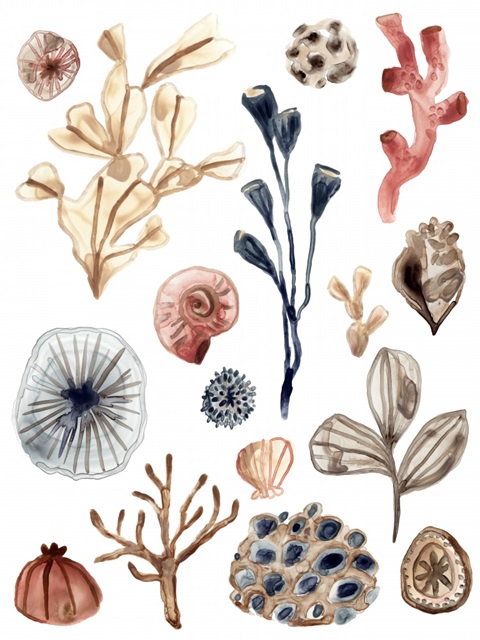 Ocean Assortment I