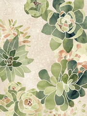 Stained Glass Succulents II