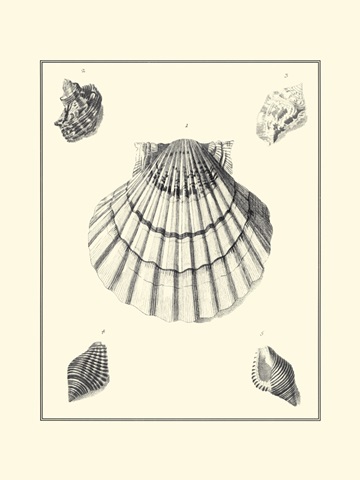 B&W Studies in Symmetry III