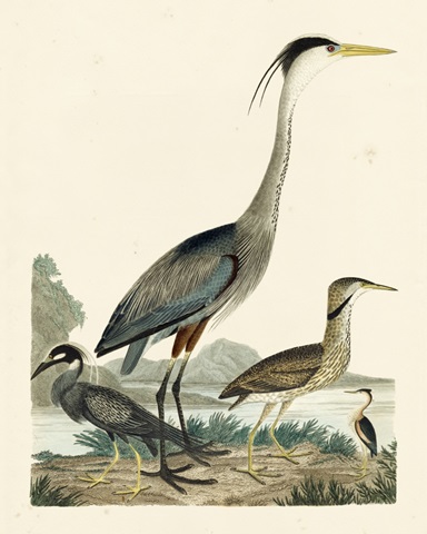 Large Heron Family I (JR)