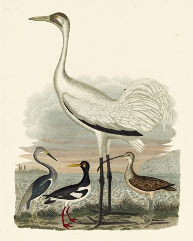 Large Heron Family III (JR)