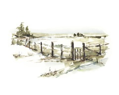 Farm Fence I