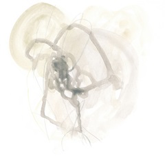 Infinite Variable II