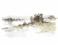 Turquoise Reflection II