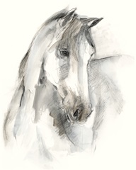 Watercolor Equine Study I