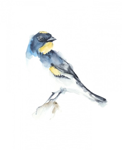 Watercolor Songbirds III