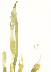 Under Sea Forest III