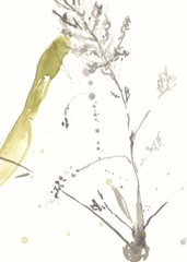 Under Sea Forest VIII