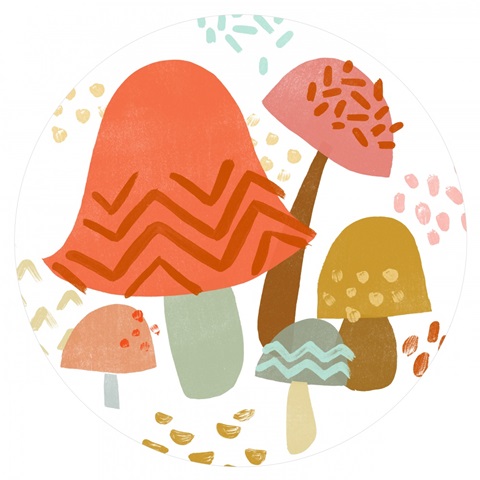 Cupcake Mushrooms Collection C