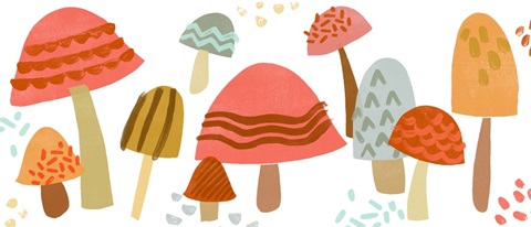 Cupcake Mushrooms Collection D